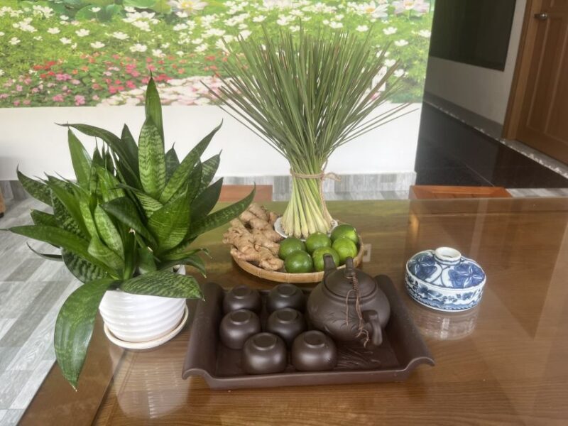 Da Nang: Experience 60 minutes Thai Traditional Massage - Deep Dive: What You Can Expect from This Tour