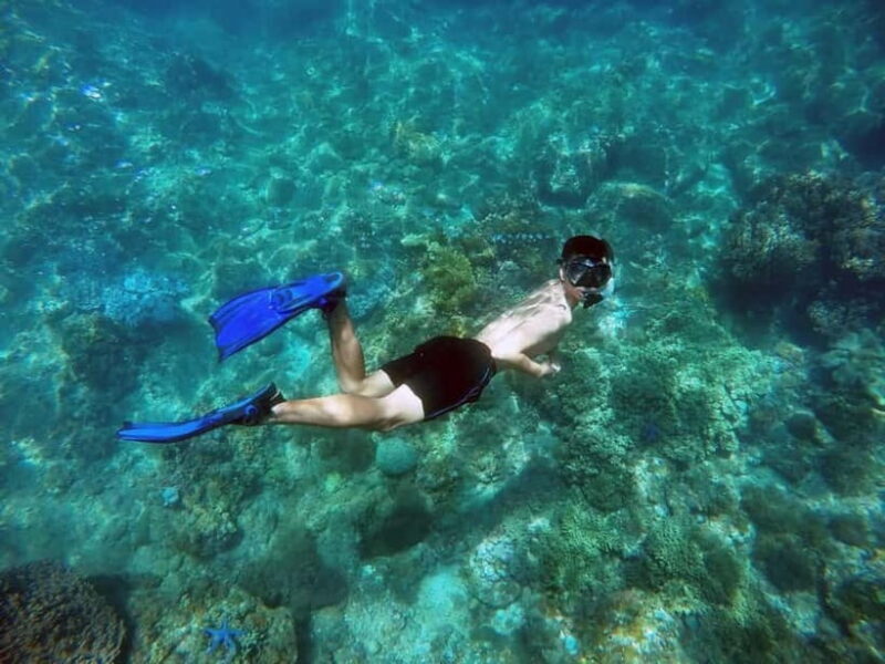 Da Nang/Hoi An: Cham Island Snorkeling or Diving Tour - Transportation & Practicalities