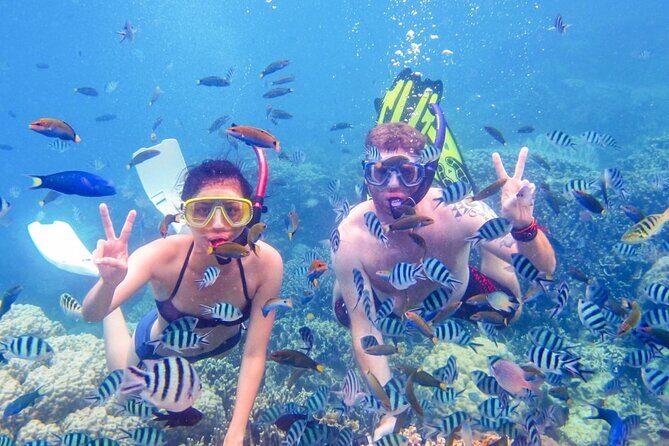 Da Nang/Hoi An: Cham Island Snorkeling, Sunbathing, Nice Beaches - Conclusions: Is This the Right Trip for You?