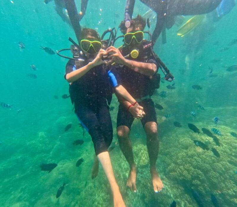 Da Nang/Hoi An: Cham Island Speedboat Tour with Snorkeling - Exploring Cham Island: A Closer Look