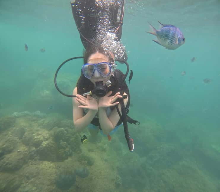 Da Nang/Hoi An: Diving in Cham Islands with an instructor - Who This Tour Is Best For