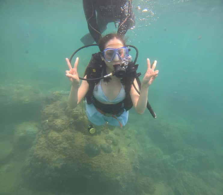 Da Nang/Hoi An: Diving in Cham Islands with an instructor - The Sum Up