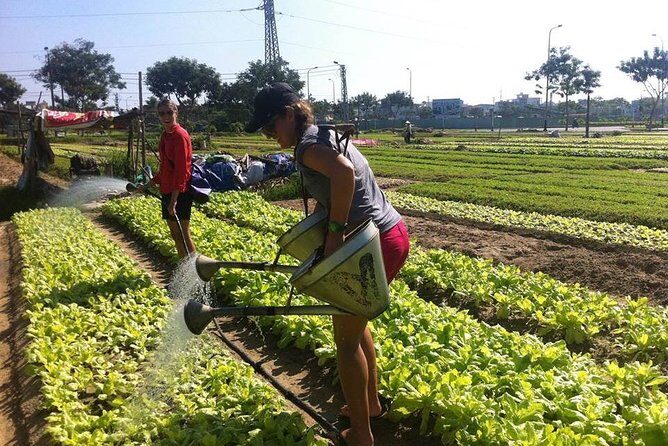 Da Nang Home Cooking Class - Final Thoughts