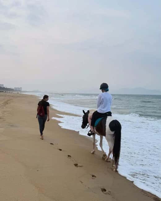 Da Nang: Nature & Horse-Riding Experience - The Value of the Experience
