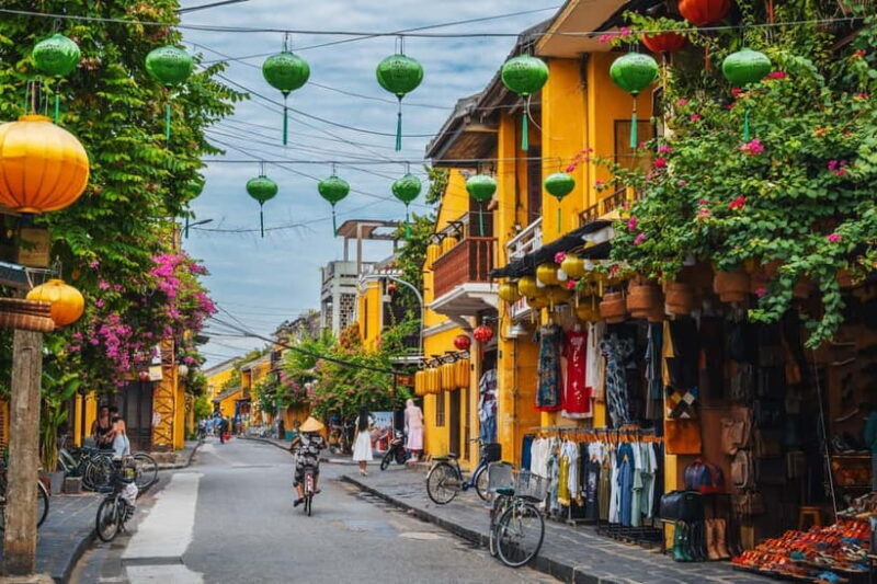 Da Nang: Private Day Trip to My Son and Hoi An Ancient Town - Who Will Love This Tour?