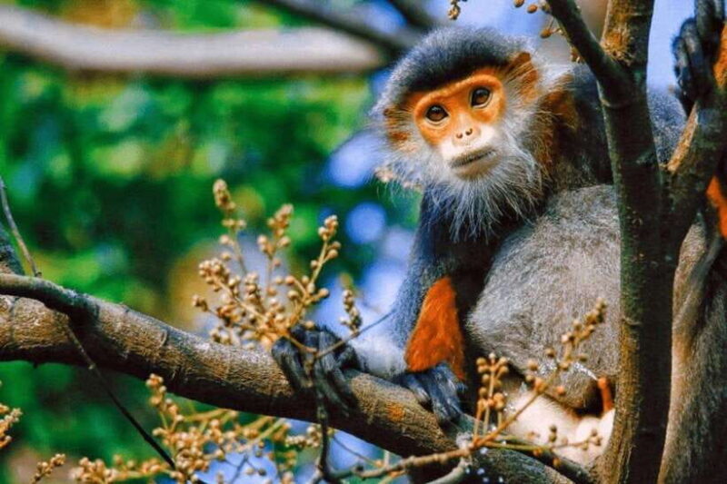 Da Nang: Private Half-day City Highlights Tour - Exploring the Key Sights in Detail