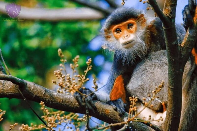 Da Nang: Private Half-day City Highlights Tour - Exploring Da Nang in Half a Day: An In-Depth Review