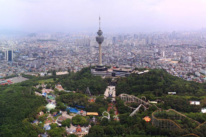 Daegu Hop on Hop off City Tour Bus Discount Ticket () - In-Depth Look at the Daegu Hop-on Hop-off Bus Tour