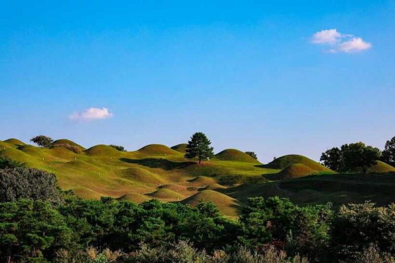 Daegu: Private Taxi Tour Car Charter - FAQ