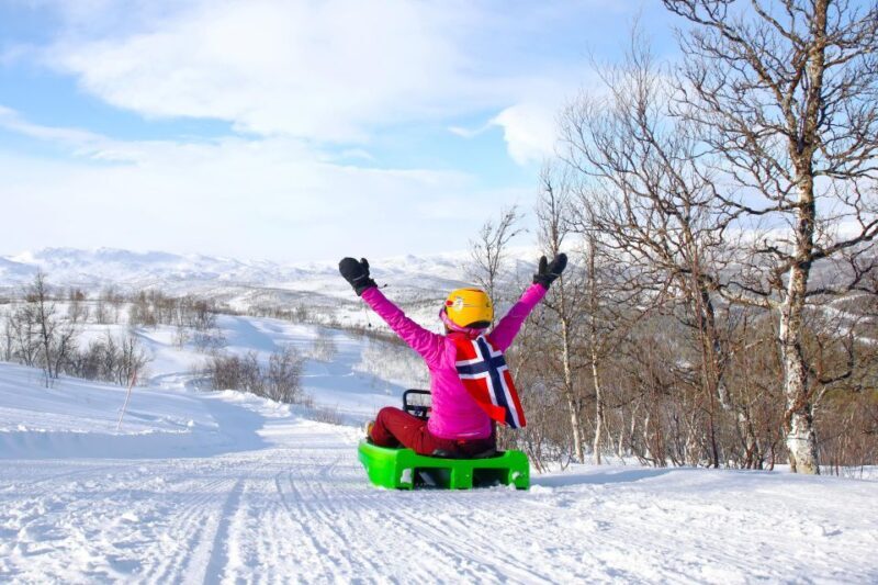Dagali: 2-Hour Racing Toboggan Adventure - Who Should Consider This Adventure?