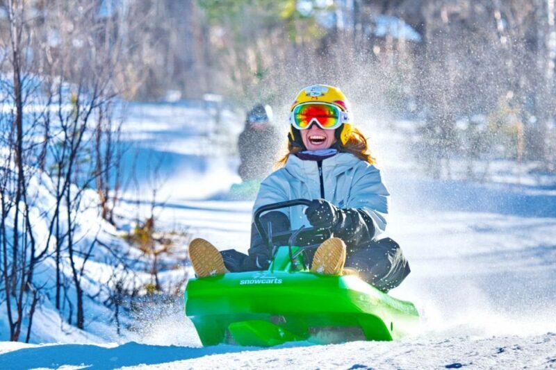 Dagali: 2-Hour Racing Toboggan Adventure - Key Points