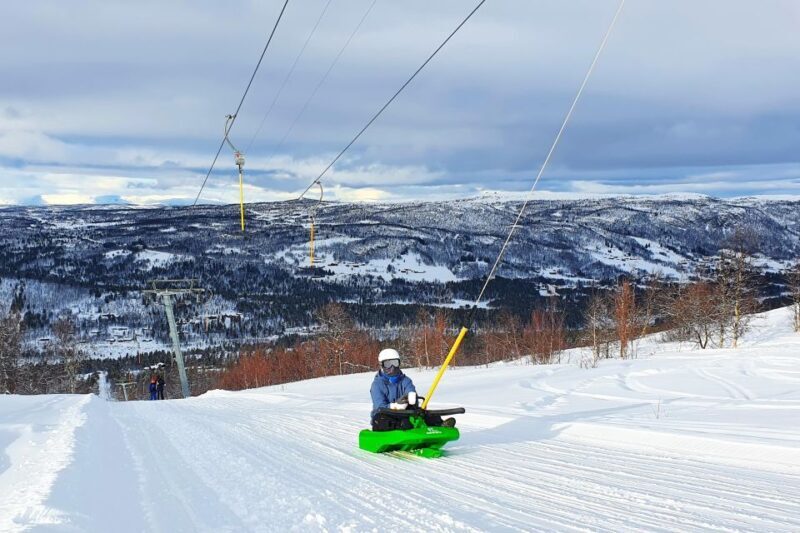 Dagali: 2-Hour Racing Toboggan Adventure - The Full Experience: What to Expect and Why It Matters