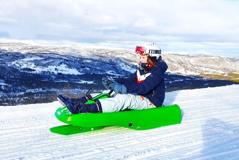 Dagali: 2-Hour Racing Toboggan Adventure - The Sum Up