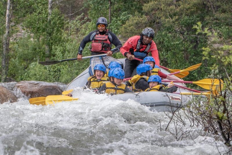 Dagali/Geilo: Family-Friendly Whitewater Rafting - level 1 - The Value of This Tour