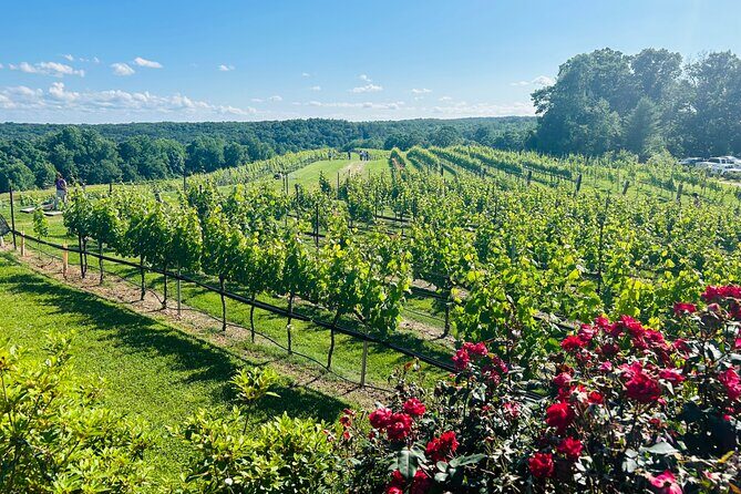 Dahlonega Wine & Dine Private Tour from Atlanta - Practical Details and Tips