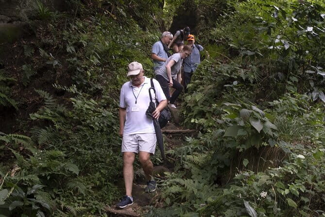 DAIBUTSU 3 Hours Private Walking Tour KAMAKURA - A Detailed Look at the Kamakura Private Walking Tour