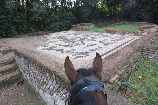 Daily Animals Lovers : Horseback ride with meals & wine included - Key Points