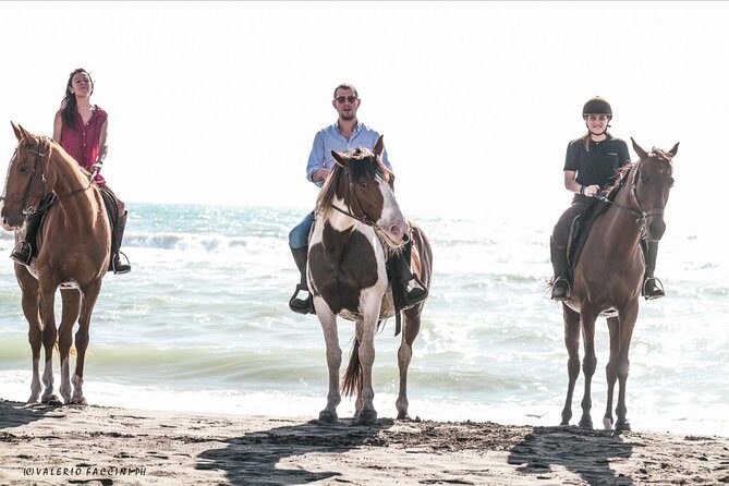 Daily Animals Lovers : Horseback ride with meals & wine included - Why This Tour Is Worth Considering