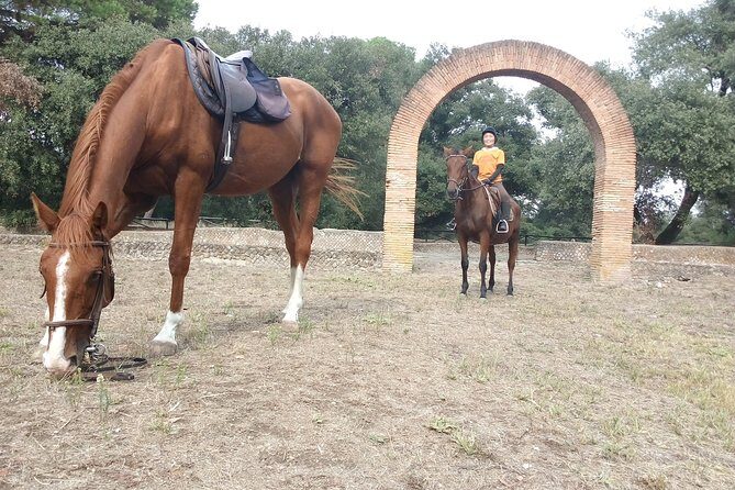 Daily Animals Lovers : Horseback ride with meals & wine included - The Sum Up: Who Will Love This Tour?