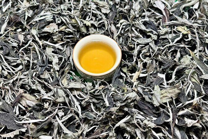 Daily Authentic Vietnam Tea Tasting & Train Street Tour - Final Thoughts: Is It Worth It?