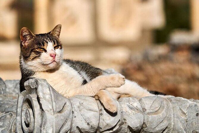 Daily Ephesus and Virgin Mary House Tour with Lunch Included - Exploring the Sites: Detailed Breakdown