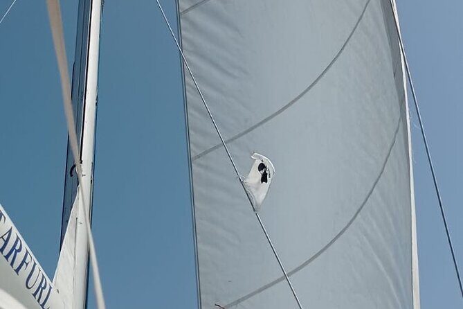 Daily excursions on a sailing boat, Maddalena Archipelago - Exploring the Maddalena Archipelago by Sailboat: The Whole Experience