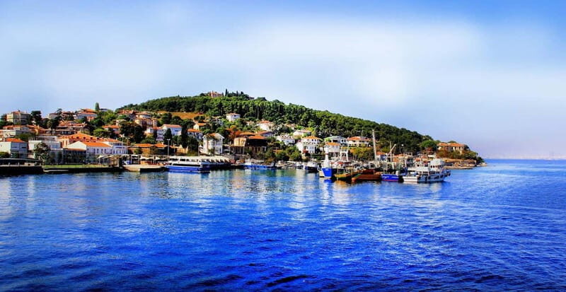 Daily Princes Island Tour from Istanbul - A Practical Day on Istanbul’s Princes Islands