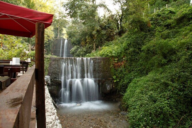 Daily Sapanca & Maukiye & Mahmudiye Tour with Lunch from Istanbul - What Travelers Are Saying