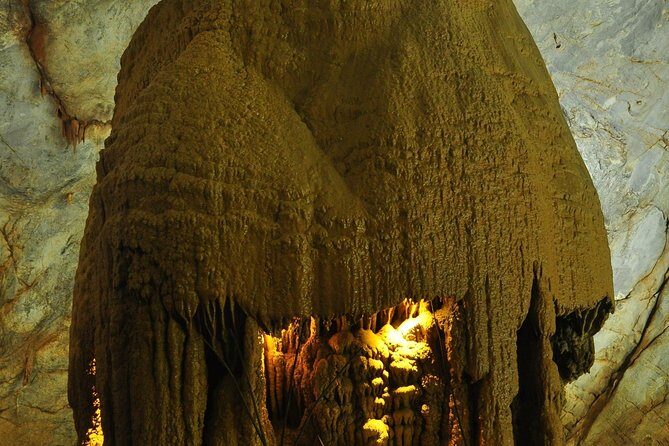 Daily Tour to Paradise and Dark Cave - Key Points