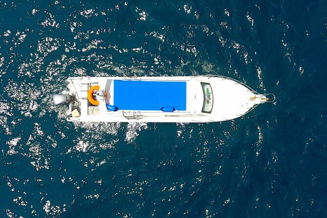 Daily Trip Highlight Komodo Archipelago by Speed Boat - Frequently Asked Questions