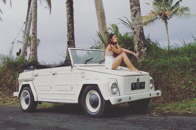 Daily VW Tour - Ubud VW Tour - Key Points