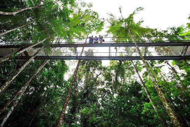 Daintree Discovery Centre Family Pass Ticket - What to Expect upon Arrival