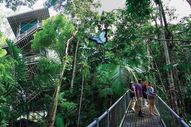 Daintree Discovery Centre Family Pass Ticket - Visitor Experience and Feedback