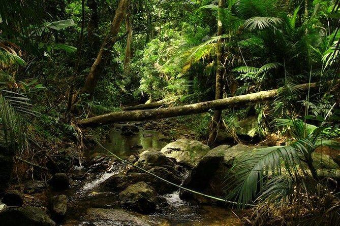 Daintree Discovery Centre Family Pass Ticket - Price and Value