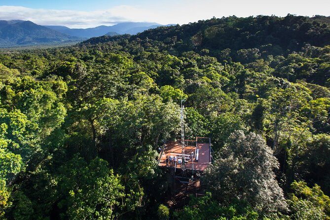 Daintree Discovery Centre Single Pass - The Experience in Detail: What to Expect