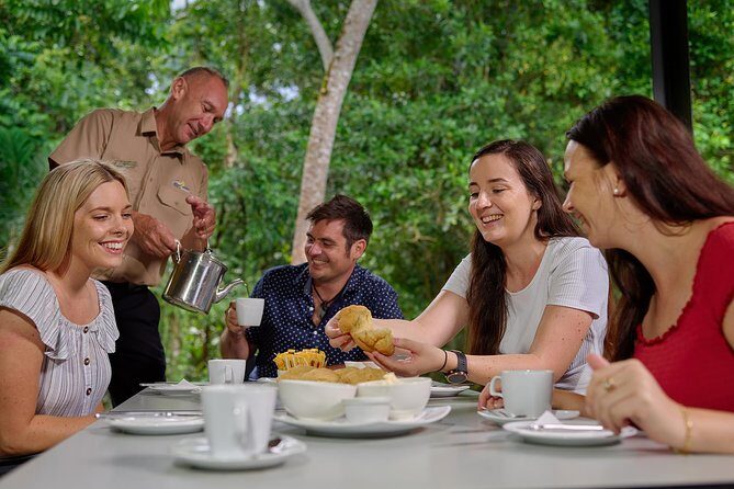 Daintree Rainforest and Cape Tribulation Day Tour from Cairns - Explore Australia’s Oldest Rainforest with a Full-Day Tour from Cairns