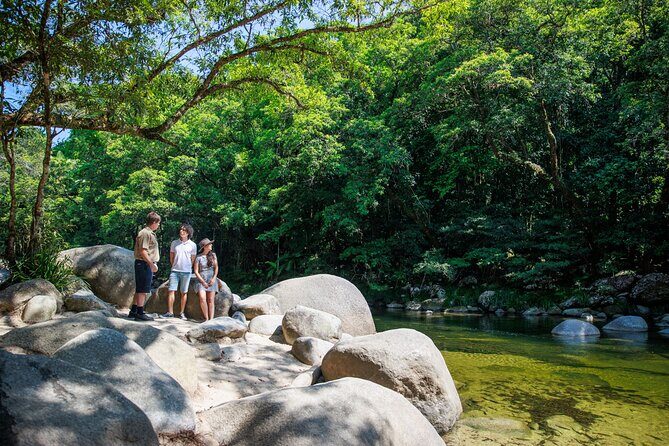 Daintree Rainforest and Cape Tribulation Day Tour from Cairns - A Deep Dive into the Daintree and Cape Tribulation Tour