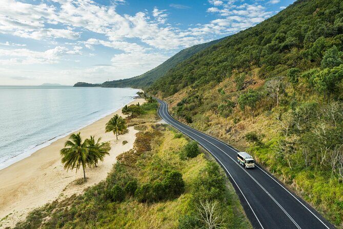 Daintree Rainforest and Cape Tribulation Full Day Tour - Key Points