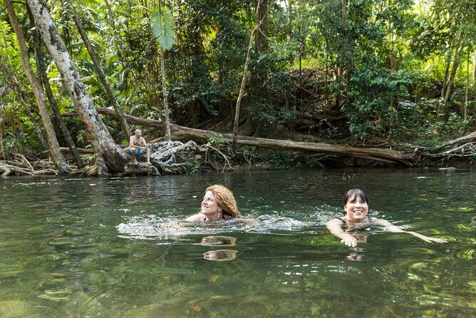 Daintree Rainforest and Cape Tribulation Full Day Tour - The Sum Up: Is This Tour Right for You?