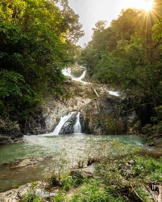 Daintree Rainforest: Magic Waterfall Walk with Lunch & Swim - Authenticity, Value, and Guides