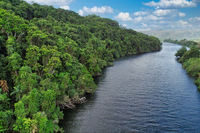 Daintree River Cruise - The Sum Up