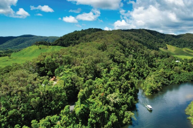 Daintree: River Rainforest Crocodile & Wildlife Cruise (DV) - The Daintree River Wildlife Cruise: A Closer Look