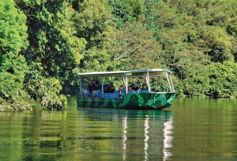 Daintree: River Rainforest Crocodile & Wildlife Cruise (DV) - FAQ