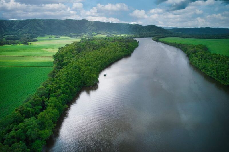 Daintree River Rainforest: Crocodile & Wildlife Cruises (DG) - FAQs
