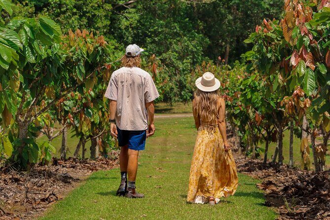 Daintree Sensations - Key Points