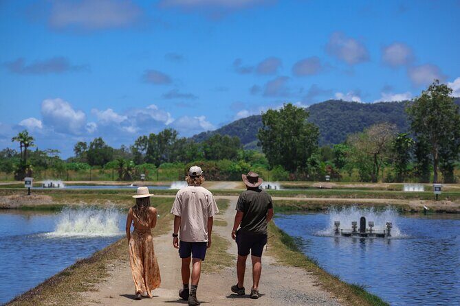 Daintree Sensations - The Sum Up: Who’s the Perfect Fit?
