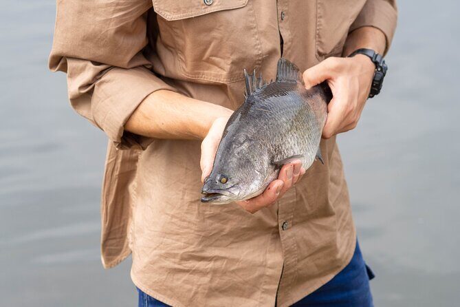 Daintree Sensations - Frequently Asked Questions