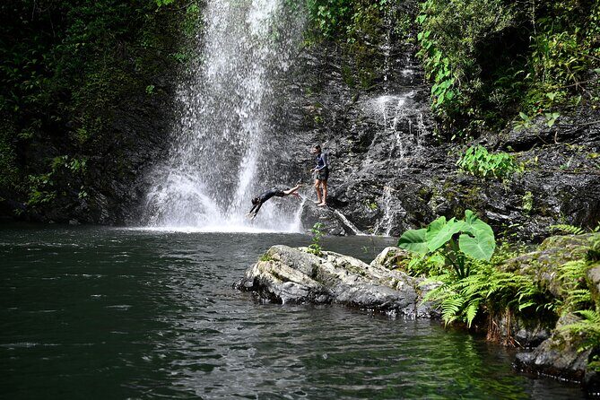 Daintree Waters Tour - Final Thoughts: Who Should Take This Tour?