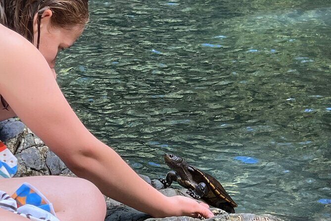Daintree Waters Tour - Frequently Asked Questions