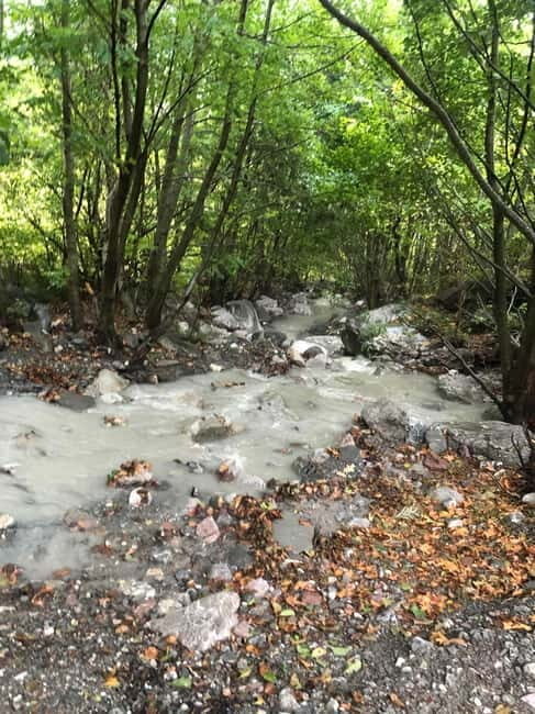 Dajti Cable Car and Shengjergj Waterfall Tour with Lunch - A Detailed Look at the Tour